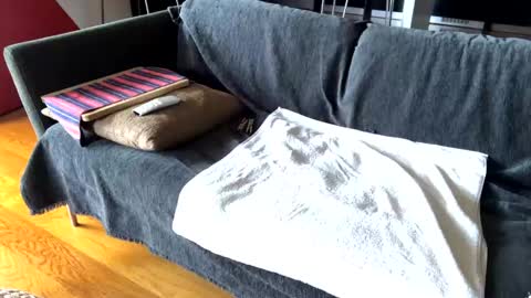 Snapshot of donizetti2017 chatting on 02-17-25, 09:46 Alfredo online show from 02-17-25, 09:46