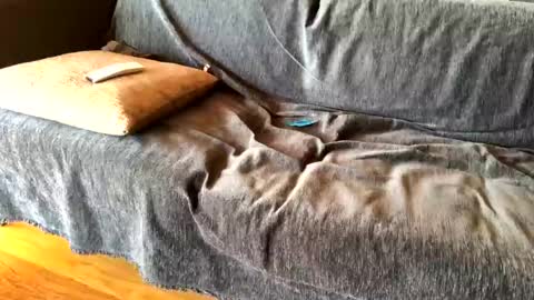 Snapshot of donizetti2017 chatting on 02-20-25, 08:39 Alfredo online show from 02-20-25, 08:39