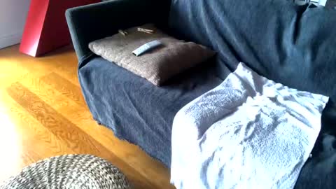 Snapshot of donizetti2017 chatting on 02-26-25, 09:10 Alfredo online show from 02-26-25, 09:10