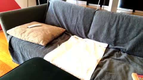 Snapshot of donizetti2017 chatting on 03-06-25, 09:14 Alfredo online show from 03-06-25, 09:14