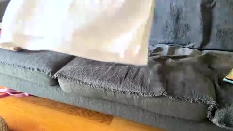 Snapshot of donizetti2017 chatting on 09-19-25, 11:00 Alfredo online show from 09-19-25, 11:00