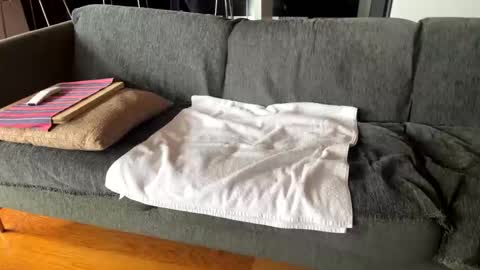 Snapshot of donizetti2017 chatting on 10-07-25, 10:12 Alfredo online show from 10-07-25, 10:12