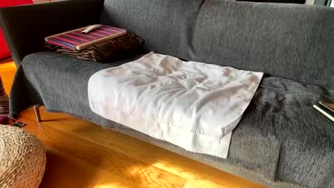 Snapshot of donizetti2017 chatting on 12-04-25, 10:13 Alfredo online show from 12-04-25, 10:13