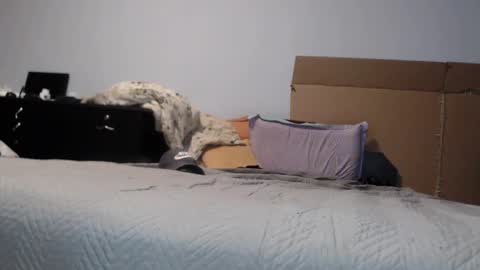 Dorato online show from 03-17-26, 07:17