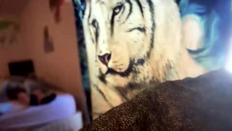 dove_love22 online show from 11-21-25, 08:40