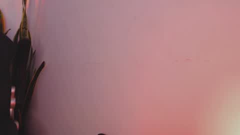 drake_cole11 online show from 02-04-25, 03:22