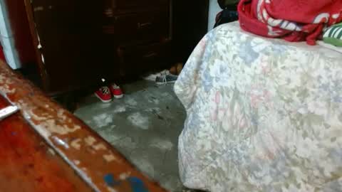 dreamreal online show from 10-28-25, 10:52