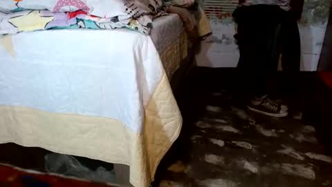 dreamreal online show from 11-22-25, 11:20