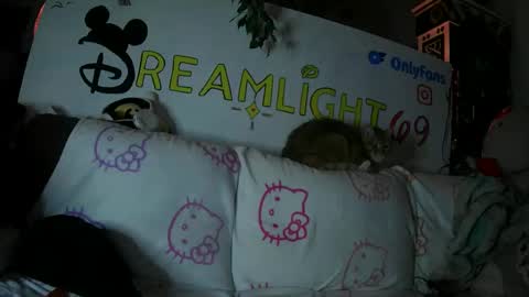 Snapshot of dreamlight69 chatting on 01-26-25, 07:53 Dreamlight online show from 01-26-25, 07:53