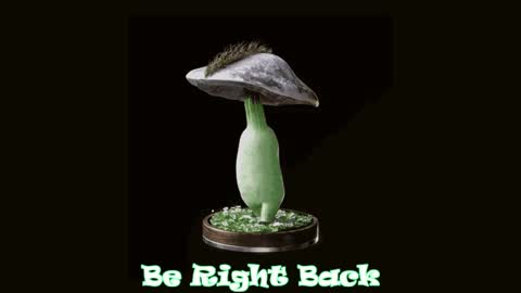 Tara  Sonny online show from 01-28-25, 07:21