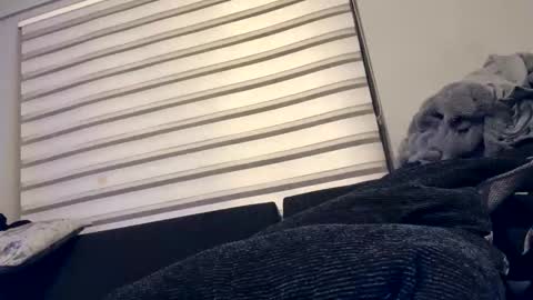 drippinggenie online show from 12-26-24, 05:08