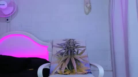 Snapshot of drippyorlove chatting on 11-05-25, 08:31 drippyorlove online show from 11-05-25, 08:31