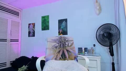 drippyorlove online show from 02-24-26, 05:55