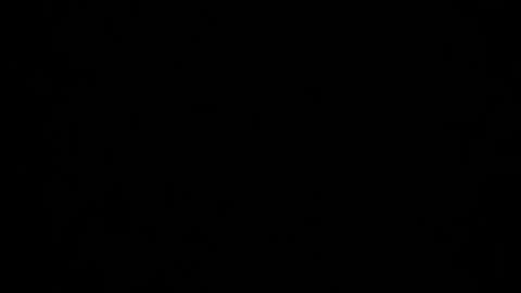 Dreamie online show from 12-05-24, 04:53