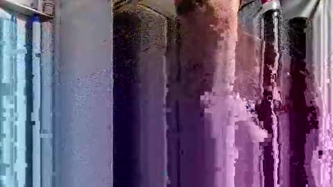 dsmock online show from 10-01-25, 06:08