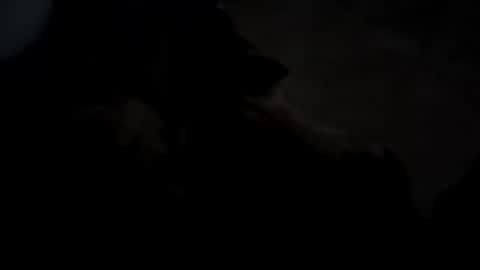 dthedog12 online show from 10-05-25, 02:43