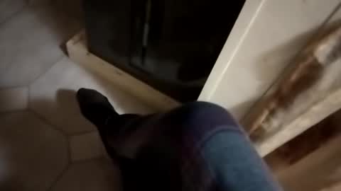 dthedog12 online show from 10-24-25, 01:03