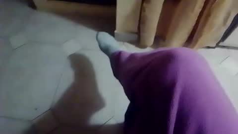 dthedog12 online show from 02-19-26, 10:06