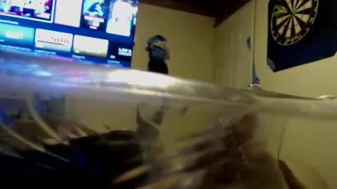 dtrain6969420 online show from 09-25-25, 02:04