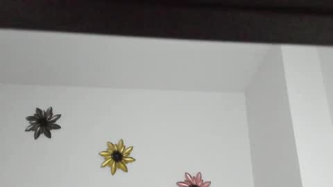 Snapshot of dulce_roberts_ chatting on 01-05-25, 02:08 Dulce  online show from 01-05-25, 02:08