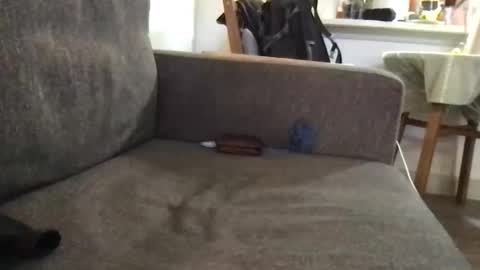 dulcemelo online show from 03-17-26, 05:05