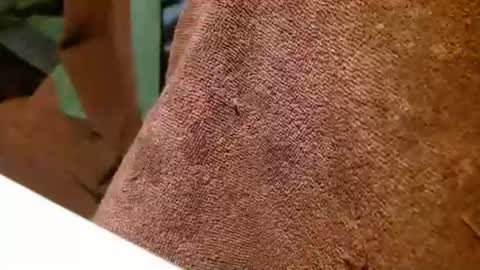 dunany101 online show from 12-30-24, 01:04