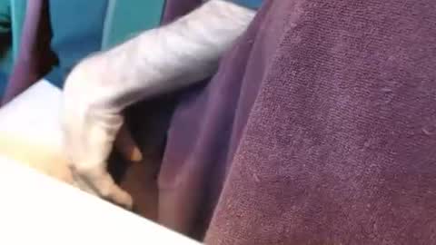 dunany101 online show from 12-31-24, 07:29