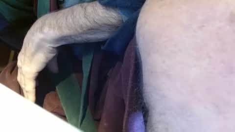 dunany101 online show from 01-14-25, 01:49