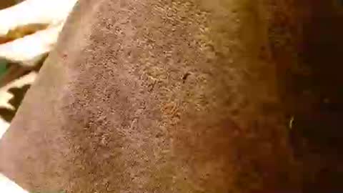 dunany101 online show from 01-28-25, 12:57