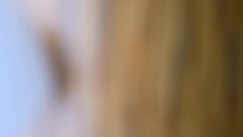 Snapshot of dvelope chatting on 10-17-25, 09:56 dVe1oPe online show from 10-17-25, 09:56