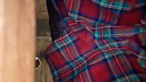 dVe1oPe online show from 04-11-26, 10:19