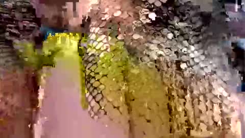 Snapshot of dwadek081704 chatting on 09-19-25, 11:33 dwadek081704 online show from 09-19-25, 11:33