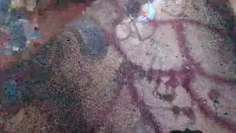 Snapshot of dwadek081704 chatting on 11-02-25, 02:52 dwadek081704 online show from 11-02-25, 02:52