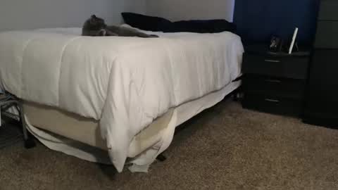 Snapshot of dwhitey4u chatting on 11-02-25, 08:00 dwhitey4u online show from 11-02-25, 08:00