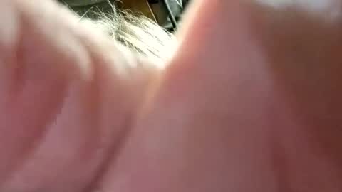 Snapshot of dwr127 chatting on 03-15-26, 03:12 dwr127 online show from 03-15-26, 03:12