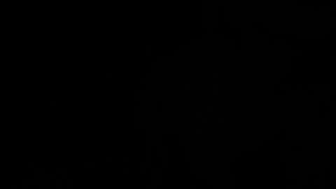 ---DYLAN--- online show from 03-11-25, 11:48