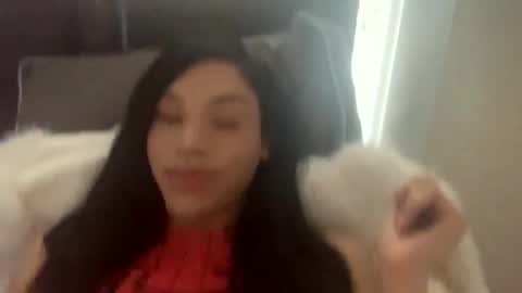 Dynasty online show from 02-04-25, 09:10