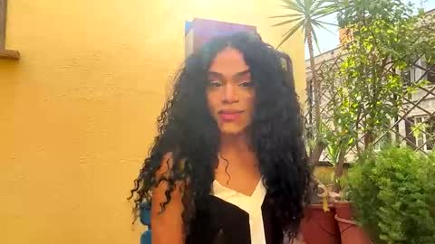 Dynasty online show from 03-24-26, 02:22