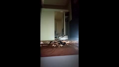 dyskretny290546 online show from 03-08-26, 09:29