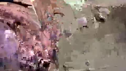 Snapshot of easye4015 chatting on 01-26-25, 07:41 Easye online show from 01-26-25, 07:41