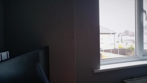 Nadia Ferreira  online show from 03-17-26, 09:12