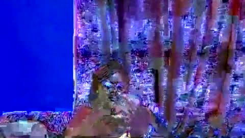 Snapshot of ebonybloom01 chatting on 09-20-25, 05:03 ebonybloom01 online show from 09-20-25, 05:03