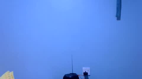 Snapshot of ebonybloom01 chatting on 11-26-25, 05:36 ebonybloom01 online show from 11-26-25, 05:36