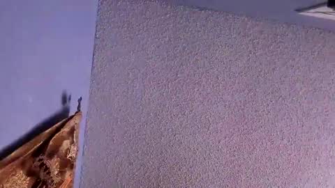 Santos online show from 02-07-25, 12:53