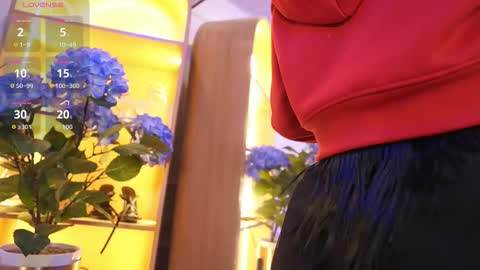 Elasummeer online show from 01-12-26, 11:37