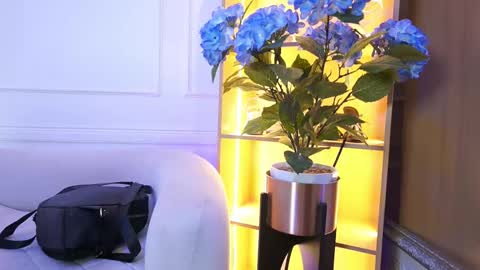 Elasummeer online show from 01-13-26, 11:48