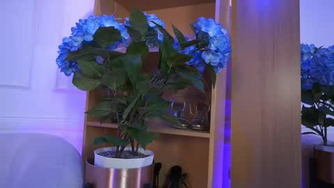 Elasummeer online show from 02-04-26, 02:23