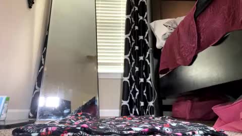 Snapshot of elenore_hoesevelt chatting on 09-11-25, 04:51 Elenore Hoesevelt online show from 09-11-25, 04:51