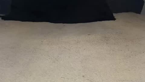 elgsslt online show from 04-23-26, 09:30