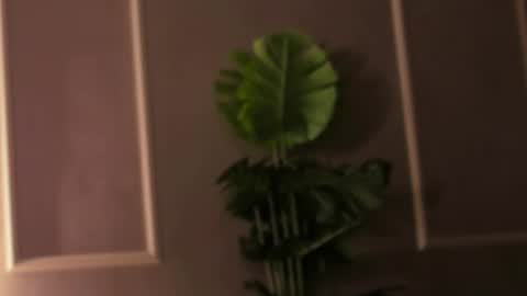 Eli online show from 02-18-25, 04:48